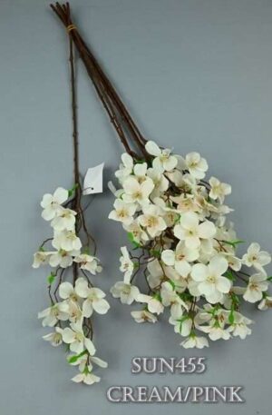 Jabloň-cream pink<p>SUN455