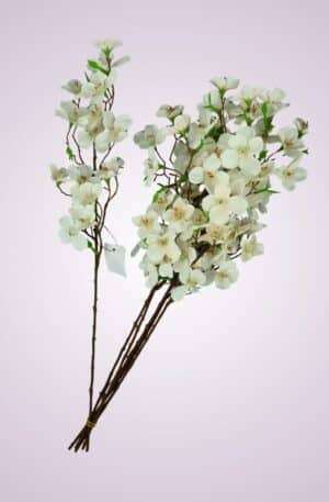 Jabloň-krémovo-ružová<p>SUN455