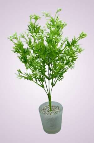 Kytica pvc<p>Y205141