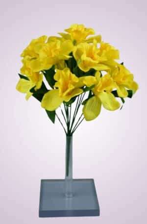 Narcis kytica<p>F2308