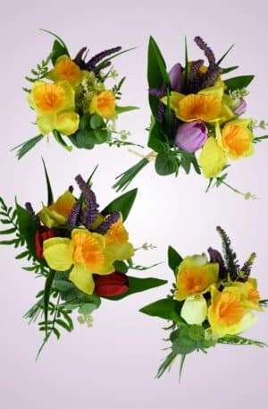 Narcis tulipán MIX<p>F24001