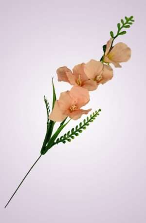 Y2216 gladiola mini- peach