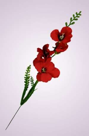 Y2216 gladiola mini- červená