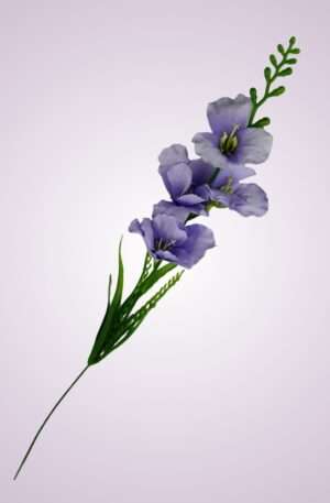 Y2216 gladiola mini - fialová