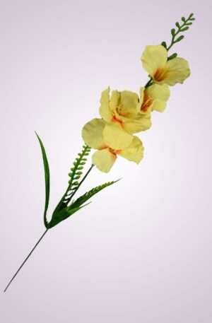 Y2216 gladiola- žltá