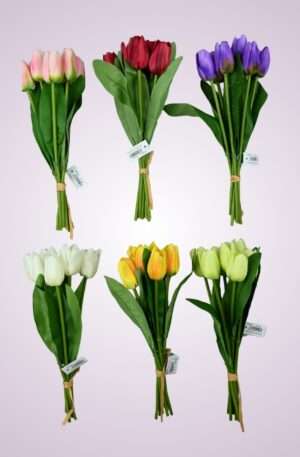 Tulipán kytica<p>MP2304-7