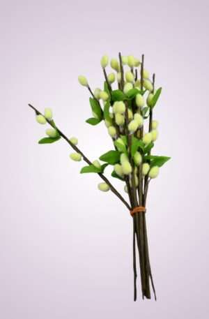 Bahniatko<p>HS001 krém