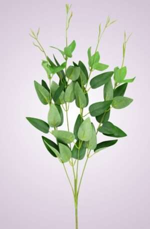 Eukalyptus kus - powder green <p>BL048