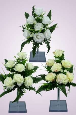 Kytica ruža papraď<p>F2322