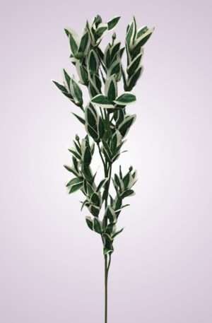 Zeleň vetva 84 cm <p>LT86003