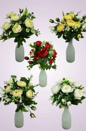 Kytica ranunculus<p>MP219223