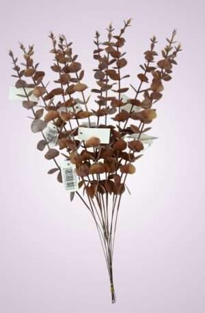 Eukalyptus kus 51 cm - hnedý <p> PS017917PT