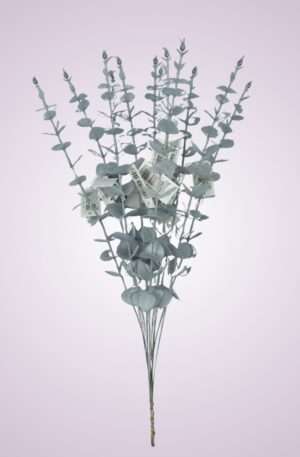 Eukalyptus kus 51 cm - sivý <p> PS017917PT